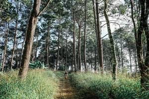 BIB: 
                            <button type="button" onclick="openModal(25657515)" class="btn btn-primary btn-sm float-right btn-popup" data-toggle="modal" data-target=".modal-high-quality">
                        <i class="fas fa-shopping-cart"></i> Add to Cart
                    </button>
                                            <button type="button" onclick="isThisMe(25657515, true)" class="btn btn-success btn-sm float-right btn-popup btn-isme hidden" data-toggle="tooltip" data-placement="bottom" title="นี่คือรูปของคุณใช่ไหม คลิกที่นี่เพื่อเอาเข้าอัลบั้ม">
                        <i class="fas fa-plus"></i> Add to album
                    </button>
                    <button type="button" onclick="isThisMe(25657515, false)" class="btn btn-warning btn-sm float-right btn-popup btn-isnotme hidden">
                        <i class="fas fa-ban"></i> Remove from album
                    </button>